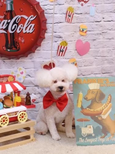 20230915あんちゃん